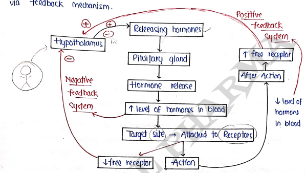 Screenshot 2026-03-07 231659