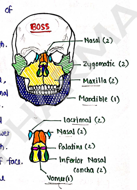 Screenshot 2026-02-10 150158