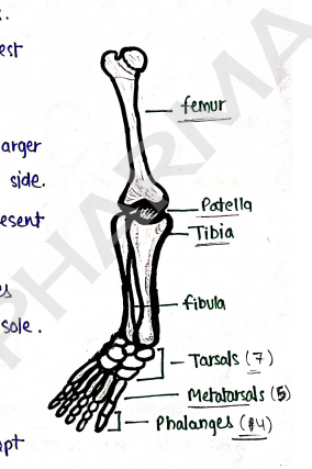 Screenshot 2026-02-10 150103