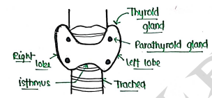 Screenshot 2026-03-07 231740