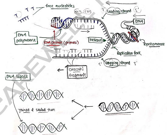 Screenshot 2026-03-10 105508