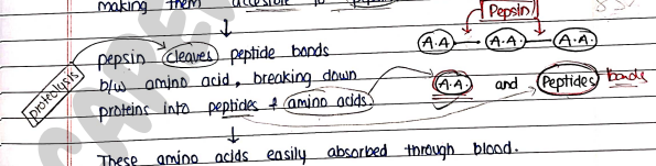 Screenshot 2026-02-24 222925