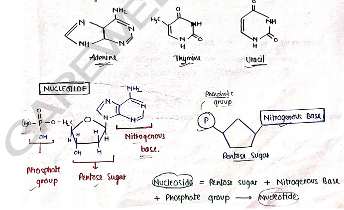 Screenshot 2026-03-08 191207