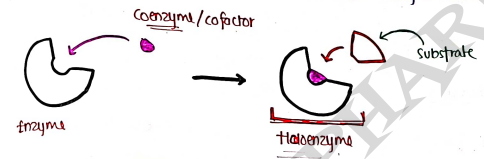 Screenshot 2026-03-10 125753