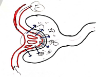 Screenshot 2026-02-25 193445