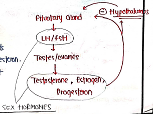 Screenshot 2026-03-08 151648