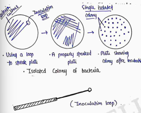 Screenshot 2026-04-06 110528