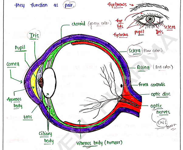 Screenshot 2026-02-11 194848