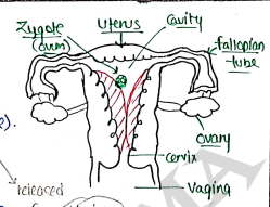 Screenshot 2026-03-08 151624