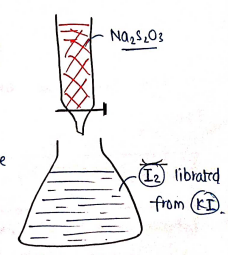 Screenshot 2026-02-14 123420