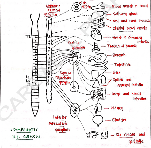 Screenshot 2026-02-11 194751