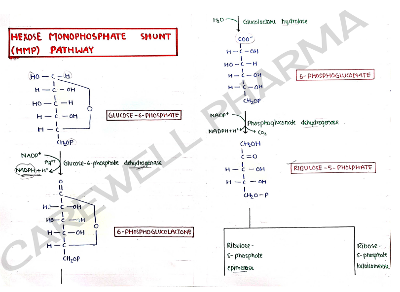 Screenshot 2026-03-09 135348