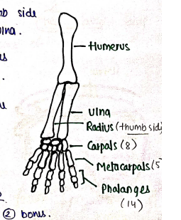 Screenshot 2026-02-10 150052