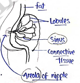 Screenshot 2026-03-08 151458