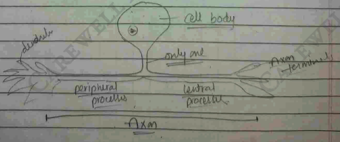 Screenshot 2026-02-23 203230