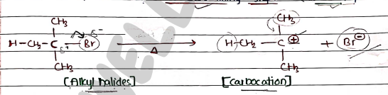 Screenshot 2026-03-12 234058