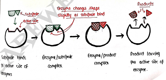 Screenshot 2026-03-10 125357