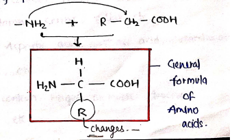 Screenshot 2026-03-08 191250