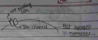 Screenshot 2026-02-23 203632