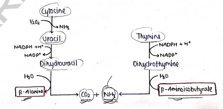 Screenshot 2026-03-10 105306