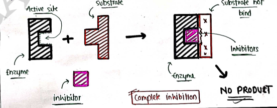 Screenshot 2026-03-10 125715