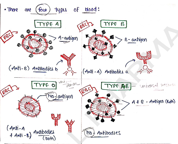 Screenshot 2026-02-11 161004