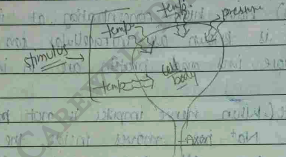 Screenshot 2026-02-23 203430