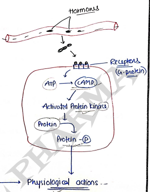 Screenshot 2026-03-07 231616