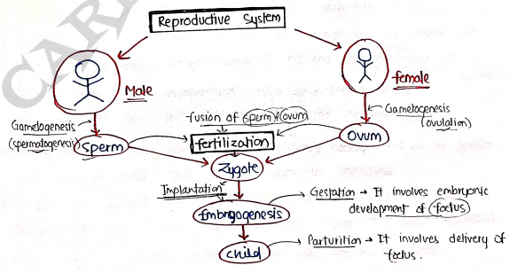 Screenshot 2026-03-08 151231