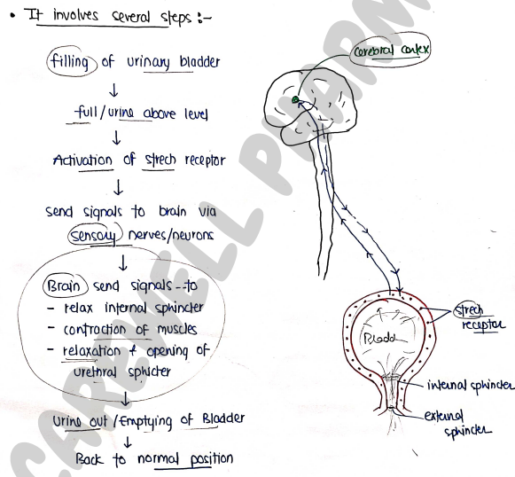 Screenshot 2026-02-25 193527