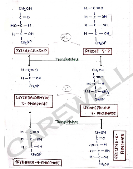 Screenshot 2026-03-09 135357