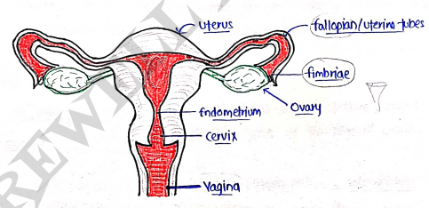 Screenshot 2026-03-08 151444