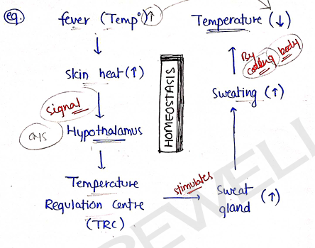 Screenshot 2026-02-07 161254