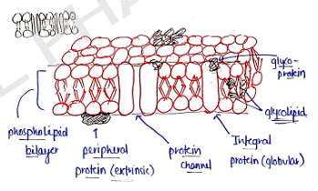 Screenshot 2026-02-07 170201