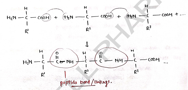 Screenshot 2026-03-08 191307