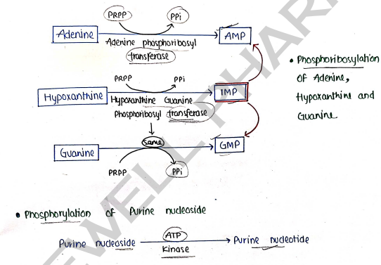 Screenshot 2026-03-10 105209