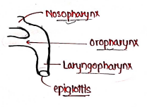 Screenshot 2026-02-25 193203