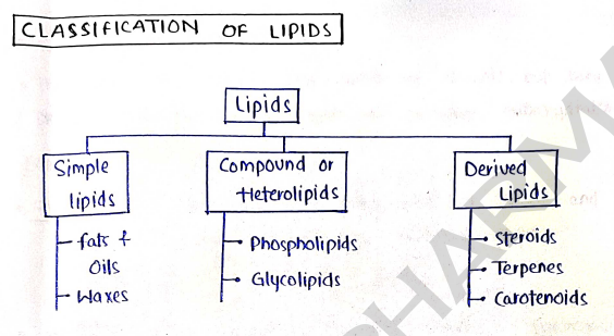 Screenshot 2026-03-08 191038