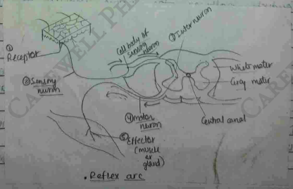 Screenshot 2026-02-23 204141