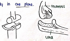 Screenshot 2026-02-10 230858