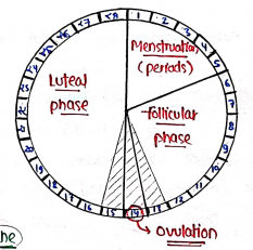 Screenshot 2026-03-08 151610