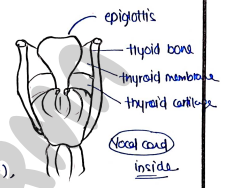 Screenshot 2026-02-25 193214