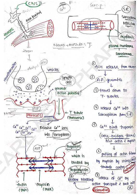 Screenshot 2026-02-10 150336