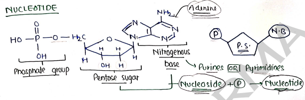 Screenshot 2026-03-10 105053