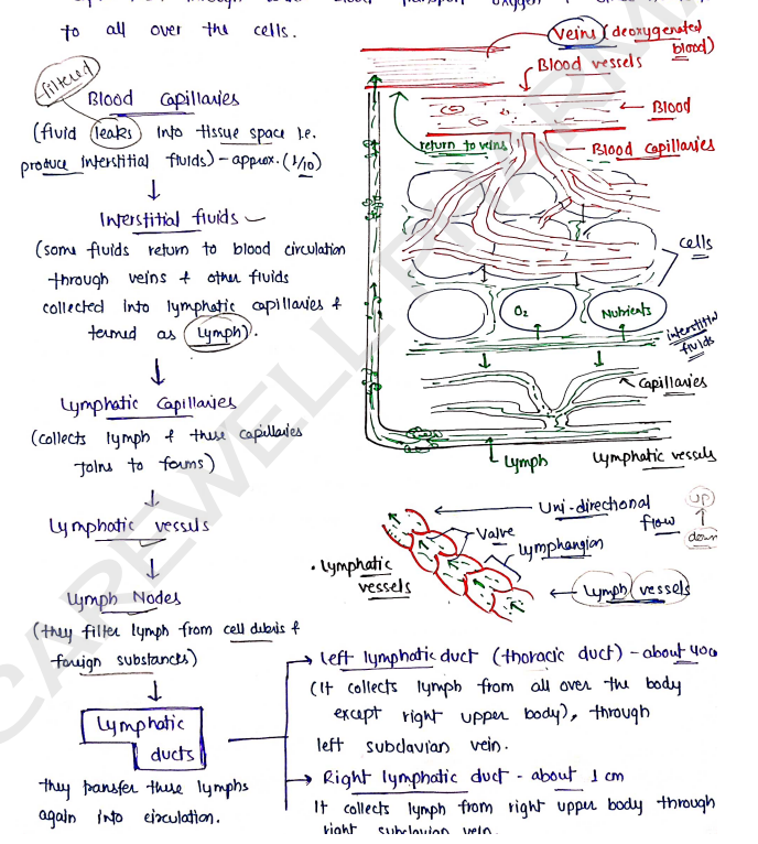 Screenshot 2026-02-11 161124