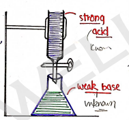 Screenshot 2026-02-13 181623