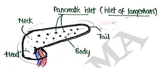 Screenshot 2026-03-07 231803