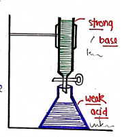 Screenshot 2026-02-13 181631