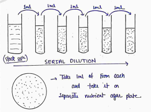 Screenshot 2026-04-06 110807