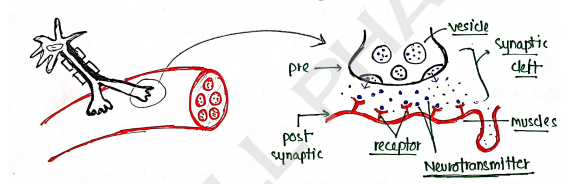 Screenshot 2026-02-10 150346